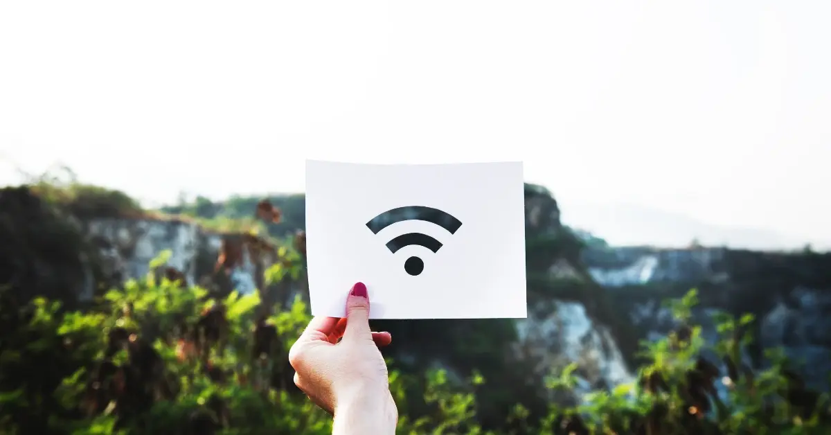 Does Wi-Fi Kill Plants? What Science Actually Says
